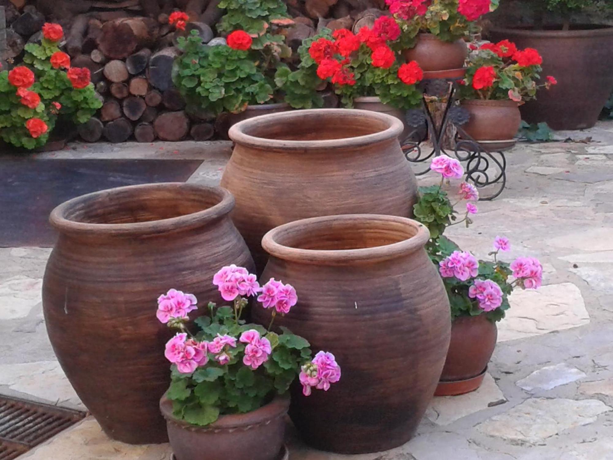 La Posada De Clotilde Cella Dış mekan fotoğraf